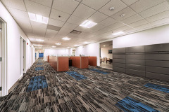 thunderbird-remodel10